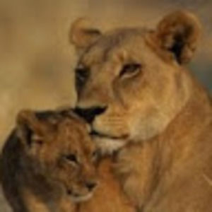 Meet your Posher, Leslie